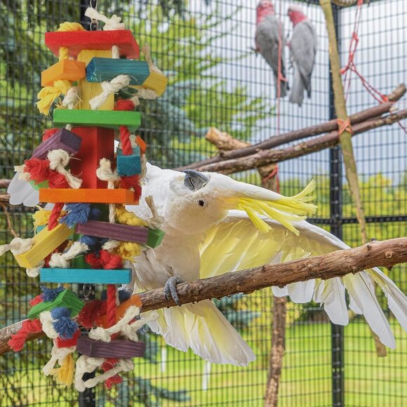 Macaw Toys, Extra Large Parrot Toys, Bird Toys for Parrots African Grey, Amazon - Picture 7 of 7
